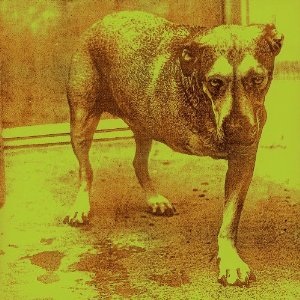 Alice in Chains self titled Tripod album cover used in a 90s grunge deep dive