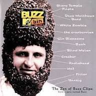 MTV Buzz Bin 90s alternative rock promotion