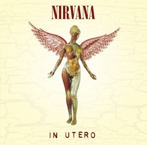 Nirvana In Utero album image for album-by-album section