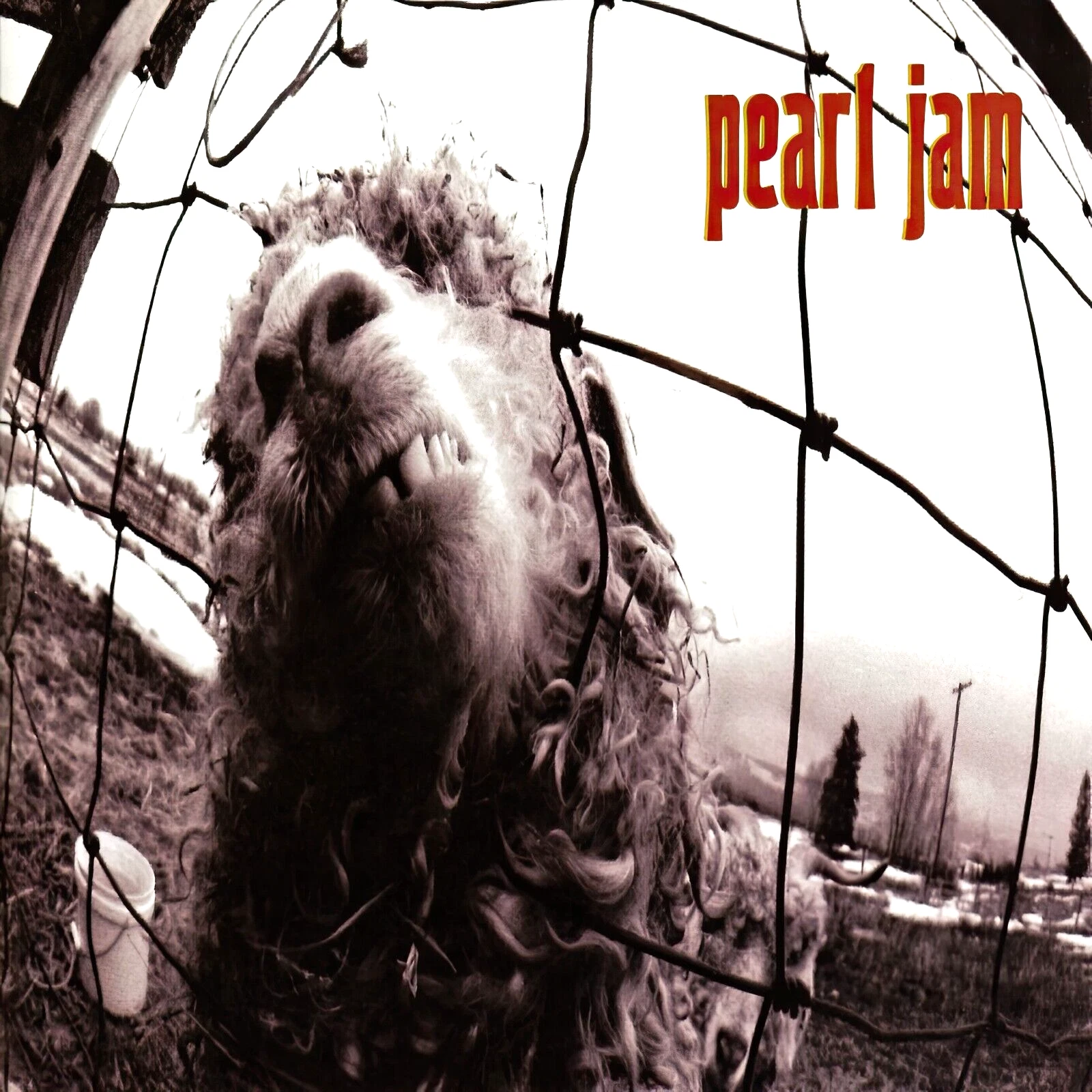 Pearl Jam Vs album cover