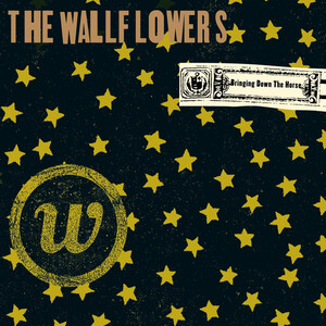 The Wallflowers Bringing Down the Horse album cover
