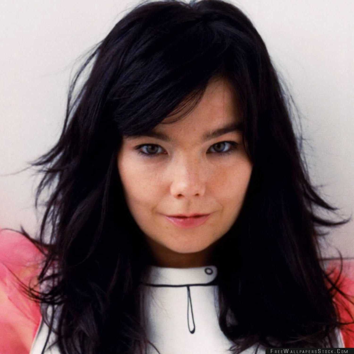 Björk during the 90s alternative era