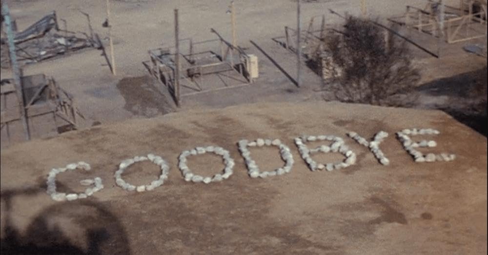 The final GOODBYE message spelled in stones during the M*A*S*H finale