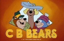 CB Bears animated mystery team