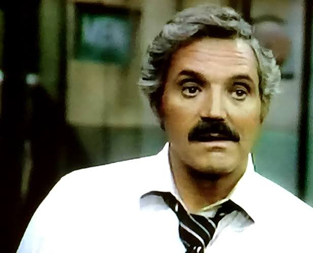 Hal Linden as Captain Barney Miller