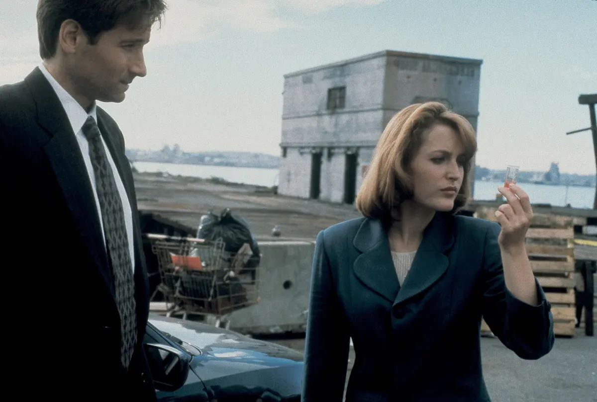 Mulder and Scully field investigation