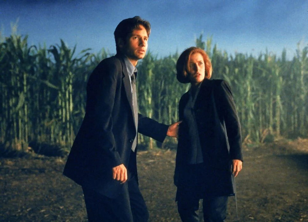 Fight the Future cornfield still
